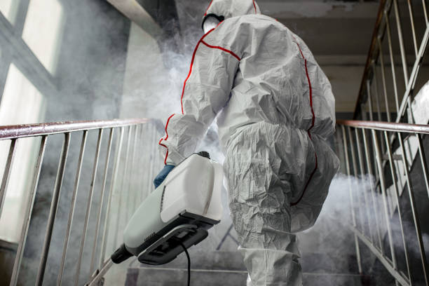 Best Mold Remediation for Healthcare Facilities  in New Port Richey, FL